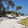 Tobago Cays, Petit Tabac island, beach