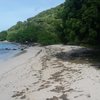 Union Island, Irene Beach, algae