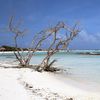 Aruba, Baby Lagoon beach, snag