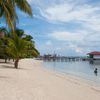 Belize, Ambergris Caye, San Pedro beach, Ramon's Village Resort, palms