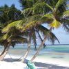 Belize, Ambergris Caye, Tranquility Bay beach, palms