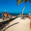 Belize, Caye Caulker, The Split beach, palm