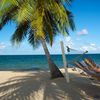 Belize, Hopkins beach, hammock