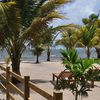 Belize, Hopkins beach, palms