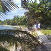 Belize, Lighthouse Reef, Half Moon Caye island, pathway