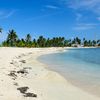 Belize, Lighthouse Reef, Half Moon Caye island, white sand