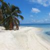 Belize, Palencia, Laughing Bird beach, coral chips