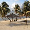 Belize, Turneffe, Turneffe Flats beach, palms