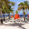 Bonaire, Eden Beach, palms