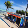 Bonaire, Lac Bay beach, palms