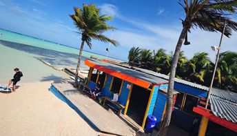 Bonaire, Lac Bay beach, palms