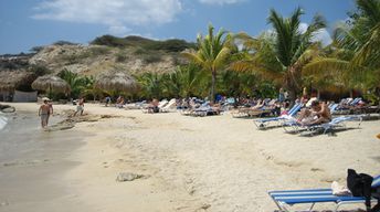 Curacao, Blue Bay beach, palms