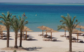 Egypt, Hurghada, Soma Bay beach, palms