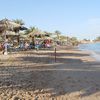 Egypt, Sharm el-Sheikh, Naama Bay beach, palm shadow
