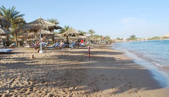 Египет, Шарм-эль-Шейх, Пляж Наама Бэй, тень пальмы