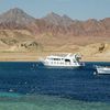 Egypt, Sharm el-Sheikh, Ras Mohammed beach, snorkelling