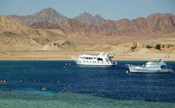 Egypt, Sharm el-Sheikh, Ras Mohammed beach, snorkelling