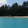 India, Andaman Isl, Neil Island, Bharatpur beach, view from water