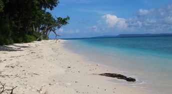 India, Andaman Isl, Neil Island, Laxmanpur beach, white sand