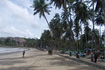 India, Andaman Isl, Port Blair, Corbyn's Cove beach, palms