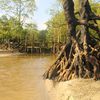 India, Andaman Isl, Port Blair, Munda Pahar beach, bridge