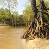 India, Andaman Isl, Port Blair, Munda Pahar beach, bridge