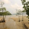 India, Andaman Isl, Port Blair, Munda Pahar beach, creek