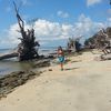 India, Andaman Isl, Port Blair, Wandoor beach, low tide