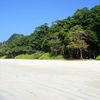 India, Andaman Islands, Havelock, Radhanagar beach, low tide