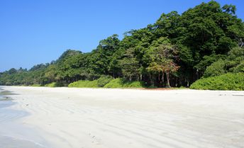 India, Andaman Islands, Havelock, Radhanagar beach, low tide