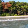India, Andaman Islands, Havelock, Radhanagar beach, view from water