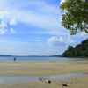 India, Big Andaman isl, Karmatang beach, low tide