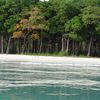 India, Big Andaman isl, Karmatang beach, view from water