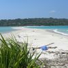 India, Big Andaman isl, Ross & Smith beach, snags