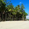 India, Big Andaman, Long Island, Lalaji Bay beach, palms