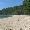 India, Big Andaman, Long Island, Lalaji Bay beach, trees