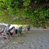 Maldives, Biyadhoo beach, trees