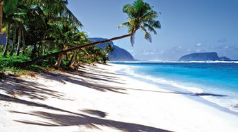 Самоа, Уполу, Пляж Лаломану, пальма