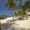 Samoa, Upolu, Salamumu beach, palms