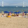 South Korea, Busan, Gwangalli beach, bridge