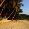 Thailand, Ko Samet, Ao Prao beach, palms