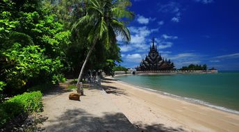 Thailand, Pattaya, Naklua beach, palm