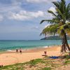 Thailand, Phuket, Karon beach, palm