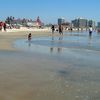 USA, California, Coronado beach, water edge