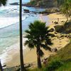 США, Калифорния, Пляж Лагуна бич, пальма