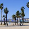 USA, California, Santa Monica beach, palms