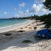 Antigua and Barbuda, Antigua, Dutchman's Bay beach, algae cleanup