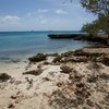 Aruba, Malmok beach, stones