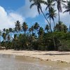 Brazil, Boipeba, Praia de Bainema beach