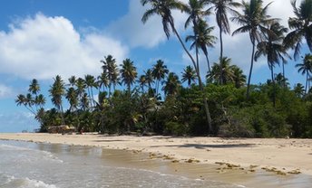 Brazil, Boipeba, Praia de Bainema beach